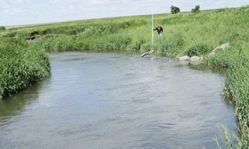 Jack and Okabena Creek  Sediment Reduction Project