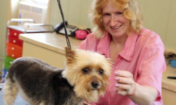 Four Paws Grooming – Slayton  welcoming furry customers