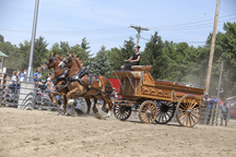 Draft Horse Show thunders into its tenth year