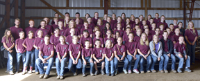 Livestock Auction concludes 4-H events at the 2016 Murray County Fair