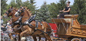 Deuschle is Belgian Draft Horse Youth Ambassador