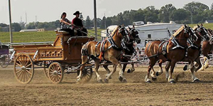 Iona, MN native, Kennedy Deuschle’s, dedication & driving skills earns a Draft Horse Youth Grant