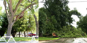 Clean-up follows Saturday’s storm