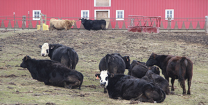 Honoring those who work in  agriculture during National Agriculture Week